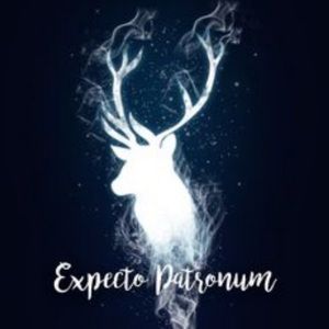 Meet your Posher, Brooklyn